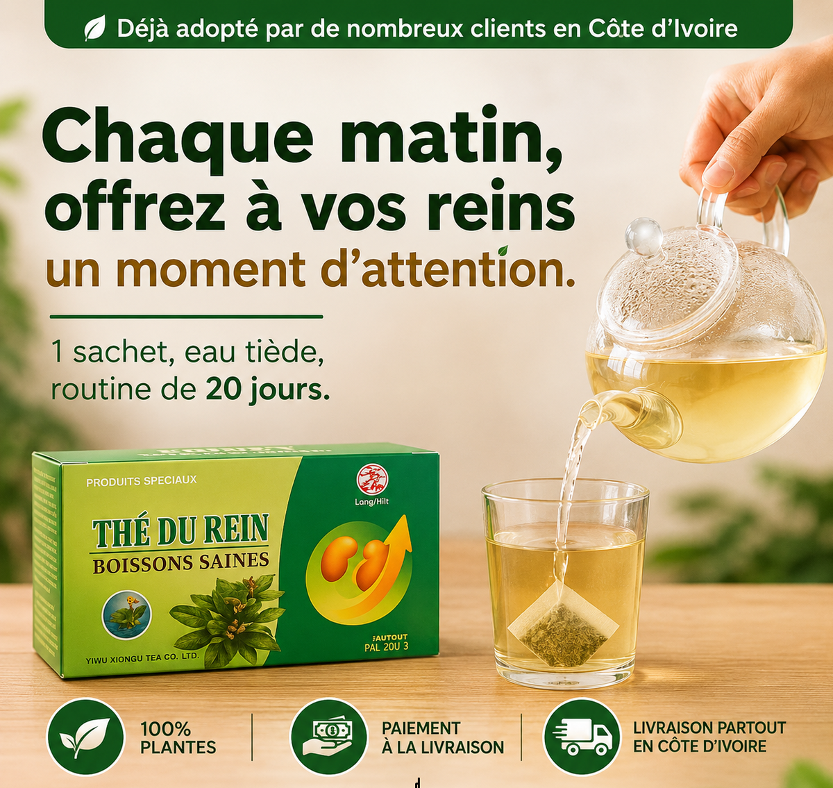 💪 20 JOURS POUR DES REINS EN PLEINE FORME & POUR PLUS DE VITALITÉ THE DE RIEN